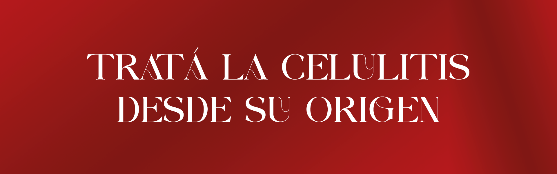 BANNER ALIDYA